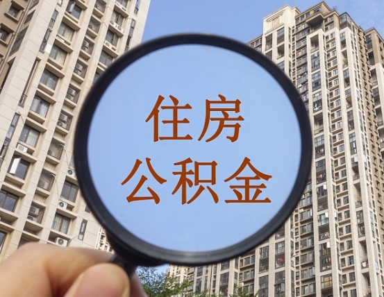 南安退休后查不到公积金明细了吗（退休后公积金查询不到原因）